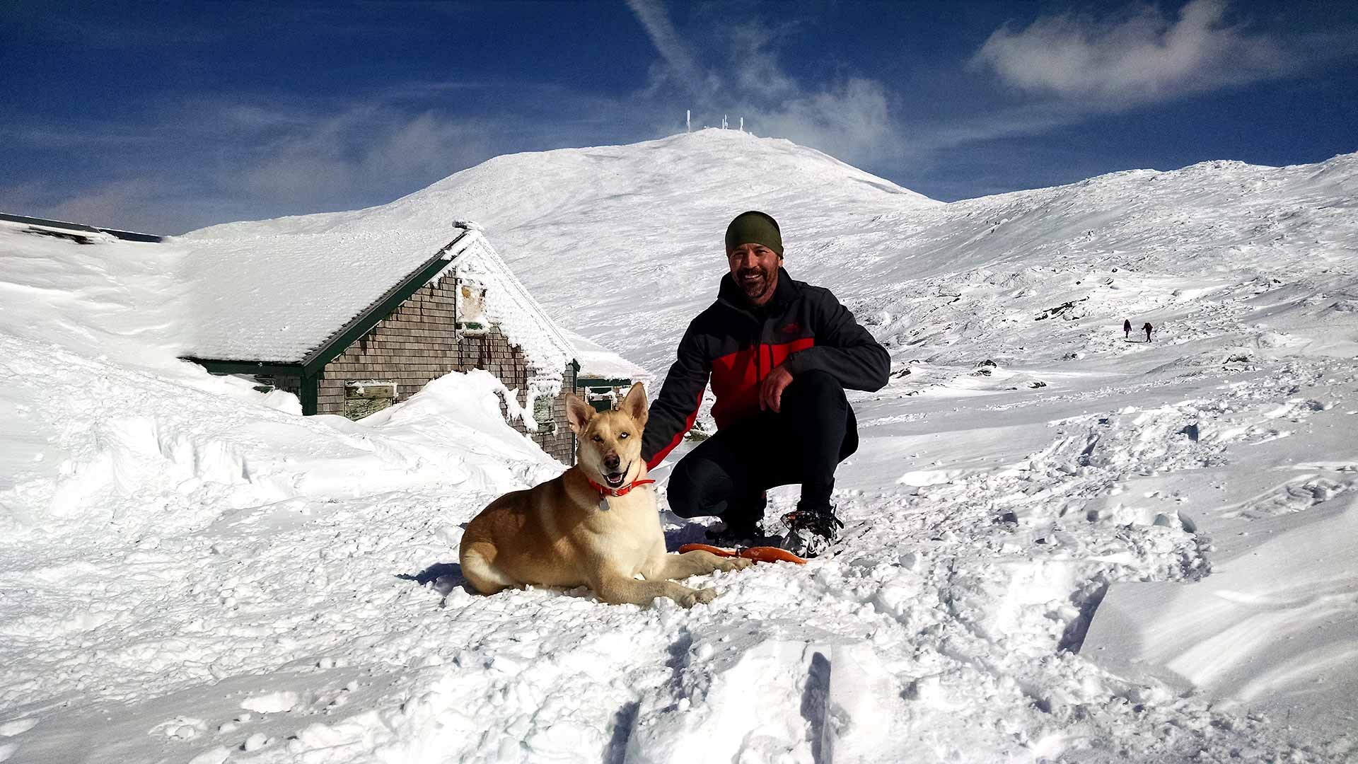 Mountain Dogware, NH